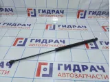 Амортизатор капота Renault Sandero Stepway (5S) 654713274R