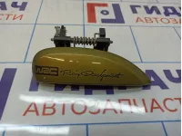 Ручка двери наружная правая Renault Sandero Stepway (5S) 806067028R