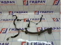 Проводка двери передняя левая Renault Sandero Stepway (5S) 241246999R