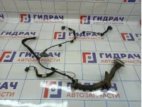 Проводка двери передняя правая Renault Sandero Stepway (5S) 241251878R