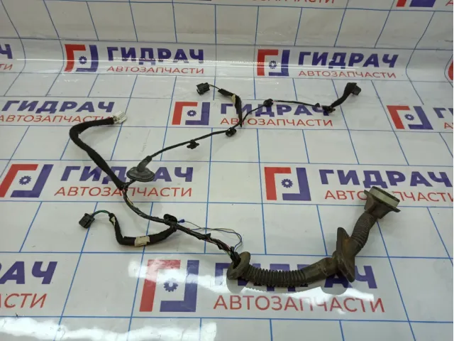 Проводка двери передняя правая Renault Sandero Stepway (5S) 241251878R