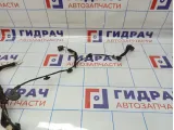 Проводка двери передняя правая Renault Sandero Stepway (5S) 241251878R