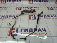 Проводка двери задняя Renault Sandero Stepway (5S) 241261266R