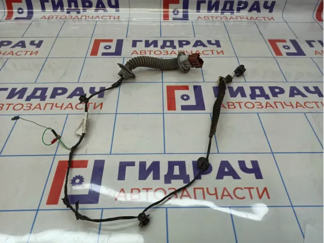 Проводка двери задняя Renault Sandero Stepway (5S) 241261266R