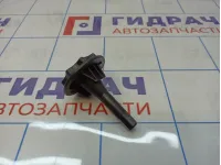 Болт крепления запасного колеса Renault Sandero Stepway (5S) 7703041034