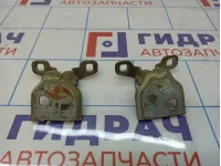 Петли двери передней правой Renault Sandero Stepway (5S)