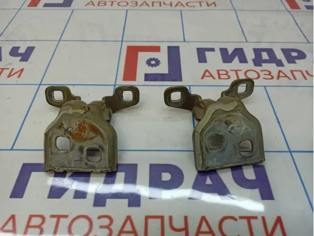 Петли двери передней правой Renault Sandero Stepway (5S)