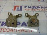 Петли двери задней правой Renault Sandero Stepway (5S)