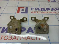 Петли двери задней правой Renault Sandero Stepway (5S)