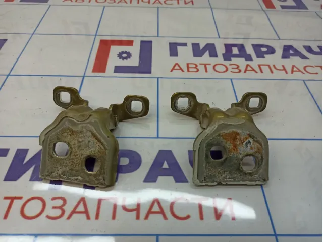 Петли двери задней правой Renault Sandero Stepway (5S)