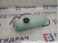 Бачок омывателя лобового стекла Renault Sandero Stepway (5S) 289100401R
