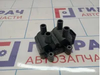 Катушка зажигания Renault Sandero Stepway (5S) 224336134R