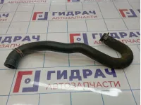 Патрубок системы охлаждения Renault Sandero Stepway (5S) 215012952R