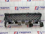 Решетка в бампер центральная Renault Sandero Stepway (5S) 622548039R