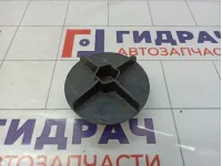 Болт крепления запасного колеса Renault Scenic 8200317791