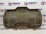 Обшивка двери багажника Renault Scenic 8200248270