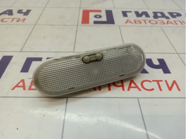 Плафон салонный Renault Scenic 8200074362