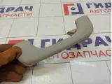 Ручка внутренняя потолочная Renault Scenic