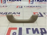 Ручка внутренняя потолочная Renault Scenic
