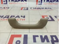 Ручка внутренняя потолочная Renault Scenic