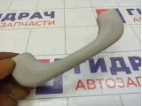 Ручка внутренняя потолочная Renault Scenic