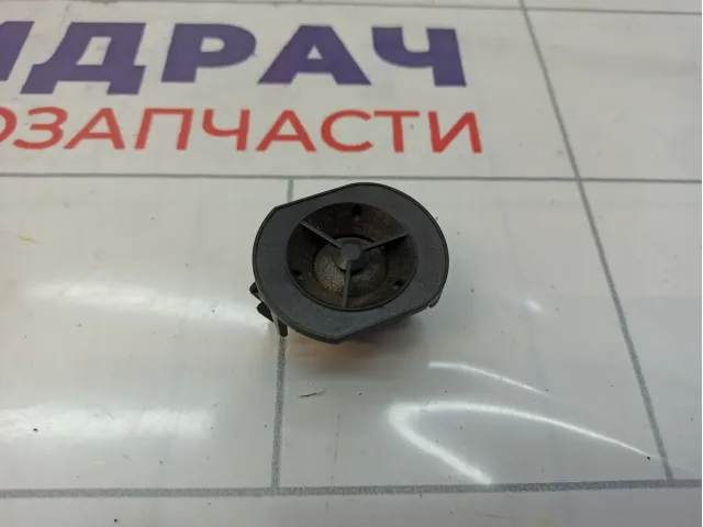 Динамик Renault Scenic 8200041791