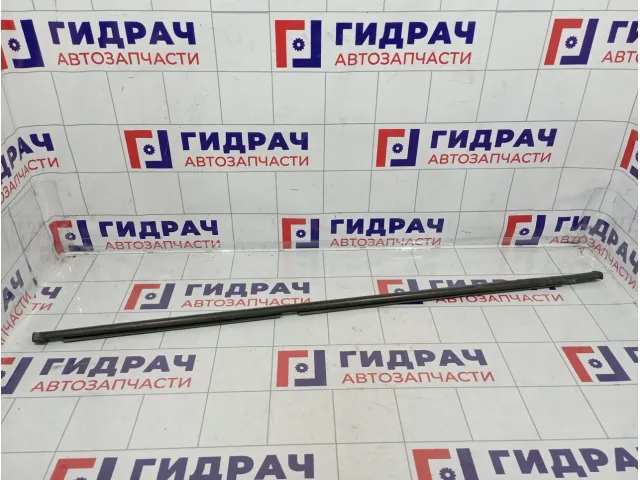 Накладка стекла переднего правого Renault Scenic 8200354329