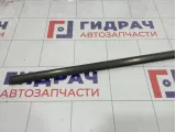 Накладка стекла заднего левого Renault Scenic 8200354332