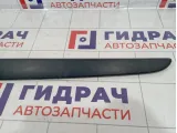 Накладка задней левой двери Renault Scenic 7701477483