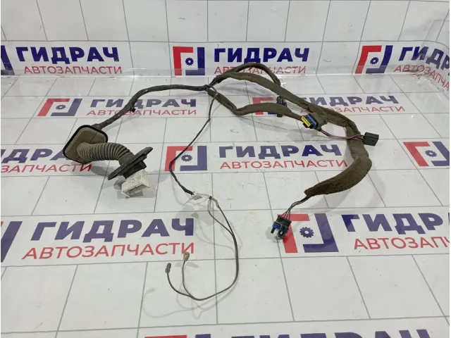 Проводка двери передней левой Renault Scenic 8200235812