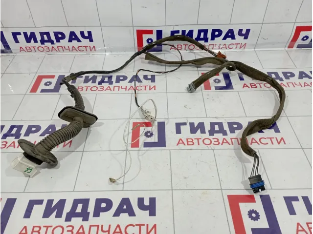 Проводка двери передней правой Renault Scenic 8200235823