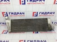 Интеркулер Renault Scenic 8200700172