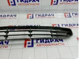Решетка в бампер центральная Renault Scenic 8200205096