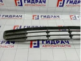 Решетка в бампер центральная Renault Scenic 8200205096
