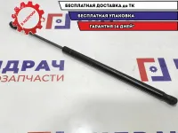 Амортизатор двери багажника Renault Scenic 2 8200377199.