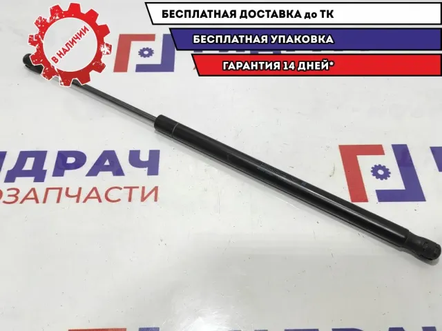 Амортизатор двери багажника Renault Scenic 2 8200377199.