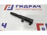 Катушка зажигания Renault Scenic 2 8200568671.