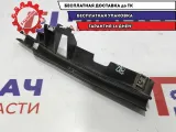 Направляющая стекла двери заднего правого Renault Scenic 2 8200130628.