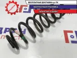 Пружина задняя Renault Scenic 2 8200297952.