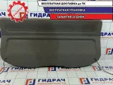 Задняя полка Renault Scenic 2 8200233018.