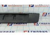 Накладка под номер Renault Scenic 2 AM53790923.