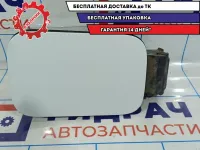 Ниша лючка бензобака Renault Scenic 2 8200139543. Дефект.