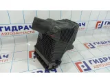 Корпус воздушного фильтра Renault Scenic 2 8202176558.