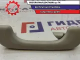 Ручка внутренняя потолочная задняя Renault Scenic 2 .