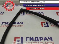 Накладка двери передней левой Renault Scenic 2 8200239278.