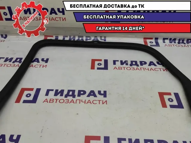 Накладка двери задней правой Renault Scenic 2 820016799.