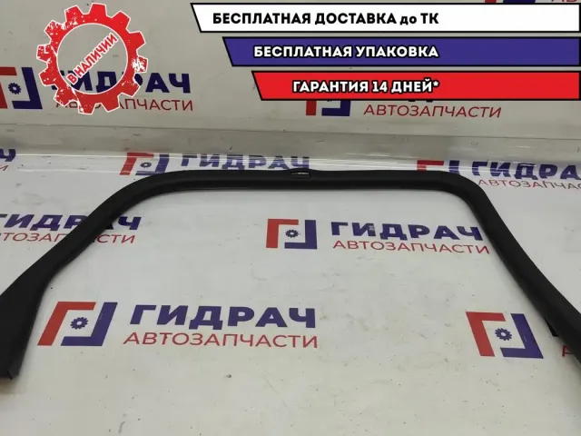 Накладка двери задней левой Renault Scenic 2 820016798.