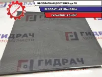 Шторка стекла заднего правого Renault Scenic 2 .