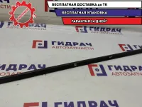 Накладка стекла двери передней левой Renault Scenic 2 .