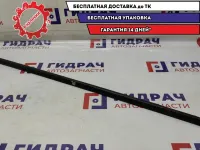 Накладка стекла двери задней левой Renault Scenic 2 .